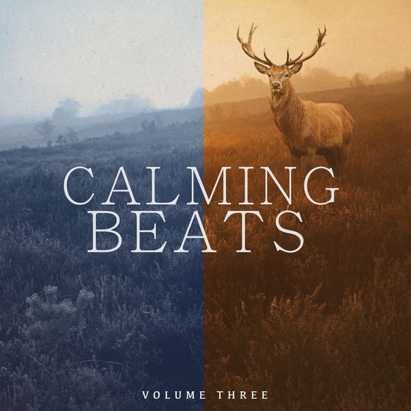 Various Artists - Calming Beats, Vol. 3 (Wonderful Calming Electronic Jazz Music For Beach Bars) Various Artists - Calming Beats, Vol. 3 (Wonderful Calming Electronic Jazz Music For Beach Bars)