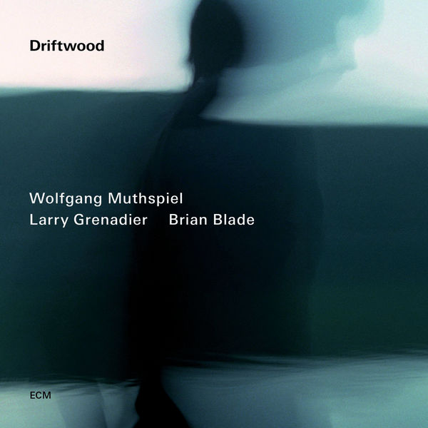 Wolfgang Muthspiel - Driftwood Wolfgang Muthspiel - Driftwood