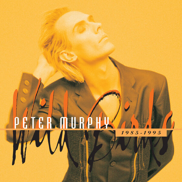Peter Murphy|Wild Birds Peter Murphy|Wild Birds