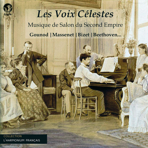 L'harmonium français|Les voix célestes, musique de salon du second empire (L’harmonium français - Patrick-Alain Faure (vol. 2))