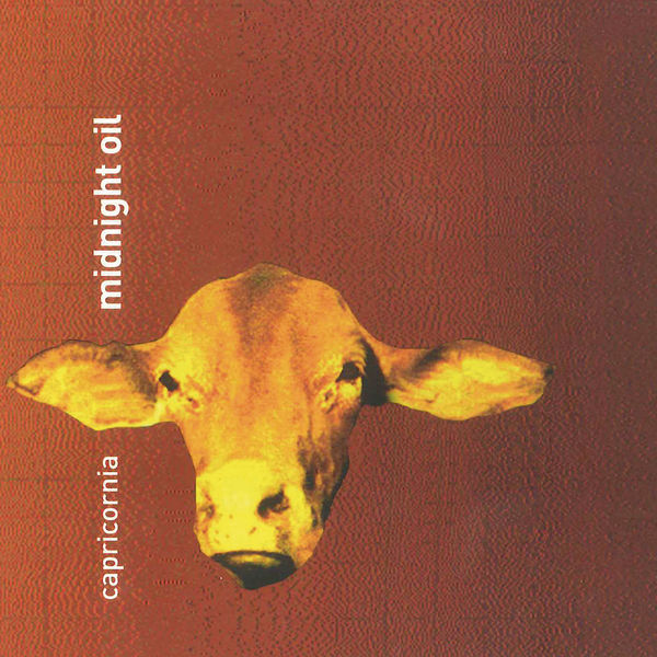 Midnight Oil|Capricornia Midnight Oil|Capricornia