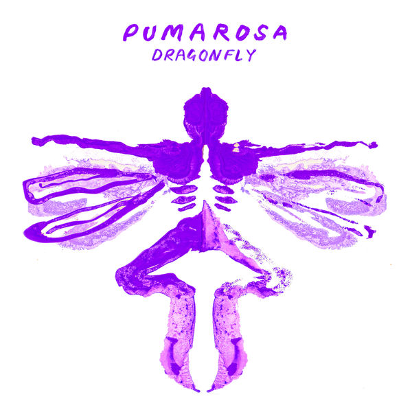 Pumarosa|Dragonfly