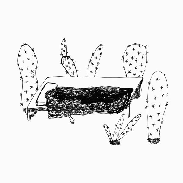 Magda Drozd - Songs for Plants Magda Drozd - Songs for Plants