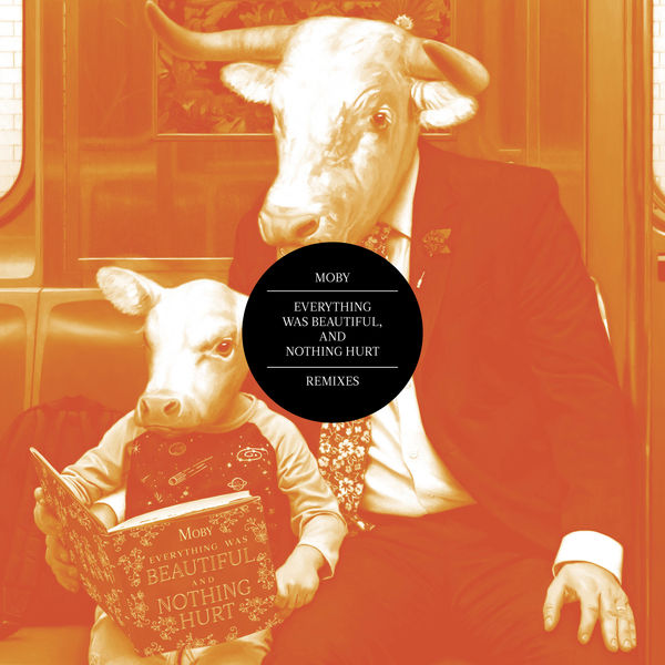 Moby|Everything Was Beautiful, and Nothing Hurt (Remixes)