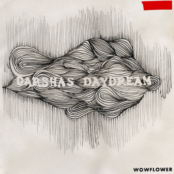 Wowflower - darshas daydream Wowflower - darshas daydream