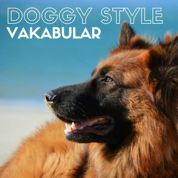 Doggy Style Doggy Style