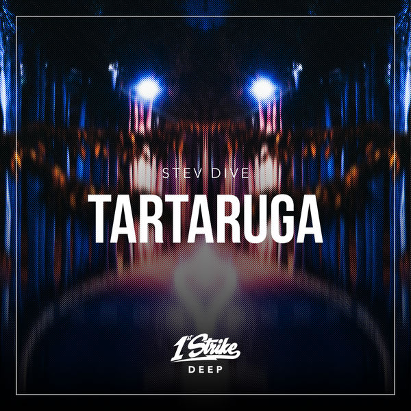 Stev Dive|Tartaruga Stev Dive|Tartaruga