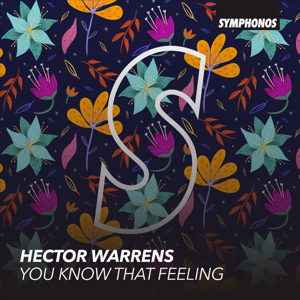 Hector Warrens|You Know That Feeling Hector Warrens|You Know That Feeling