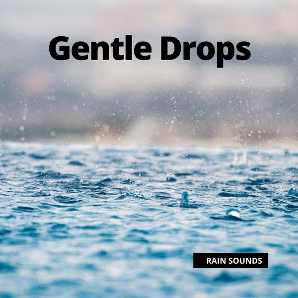 Rain Sounds - Gentle Drops Rain Sounds - Gentle Drops