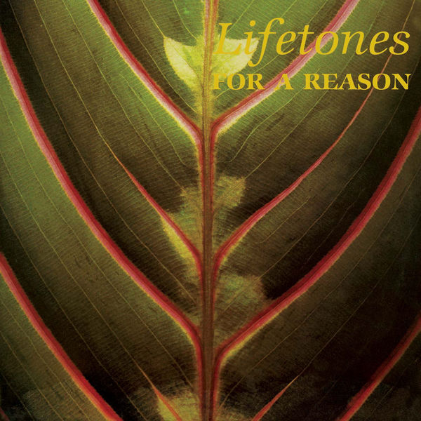 Lifetones|For a Reason