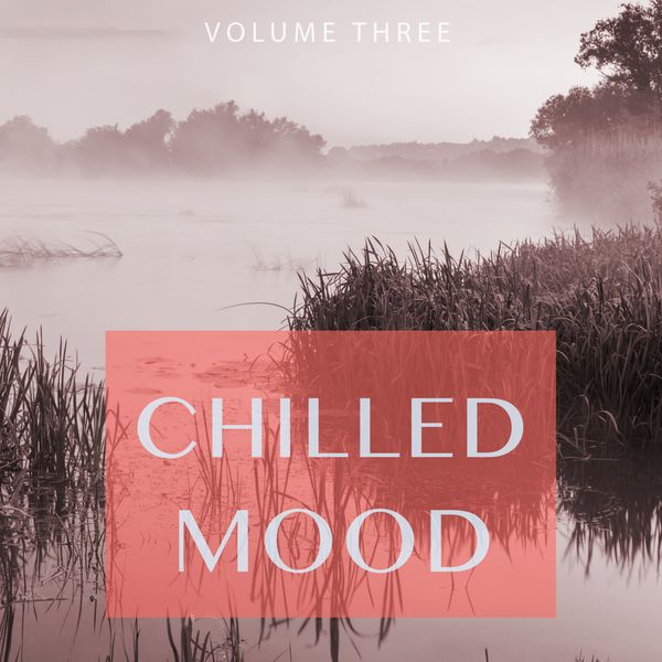 Various Artists - Chilled Mood, Vol. 3 (Kick Back And Relax.. You Earned It.) Various Artists - Chilled Mood, Vol. 3 (Kick Back And Relax.. You Earned It.)