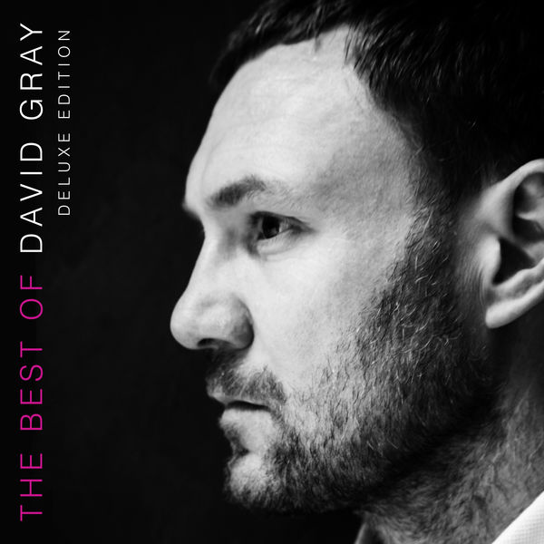 David Gray - The Best of David Gray David Gray - The Best of David Gray