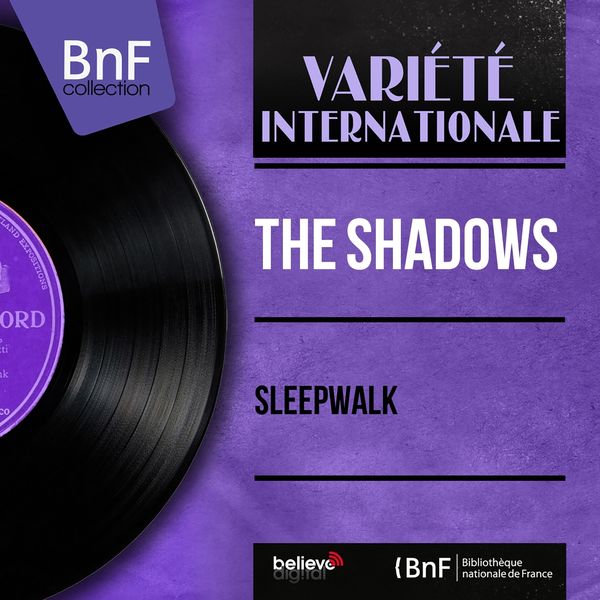 The Shadows|Sleepwalk  (Mono Version)