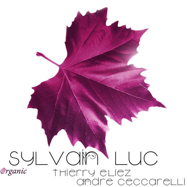 Sylvain Luc|Organic