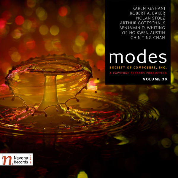 Pouya Saraei|Modes: Society of Composers, Inc., Vol. 30 Pouya Saraei|Modes: Society of Composers, Inc., Vol. 30