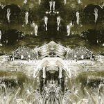 Nick Wheeldon Tadpoles