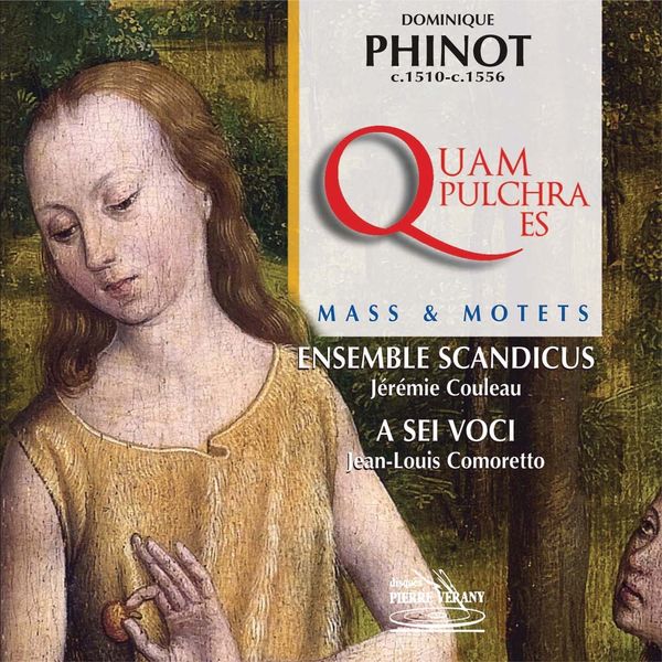 Ensemble Scandicus|Dominique Phinot : Messe quam pulchra es & Motets