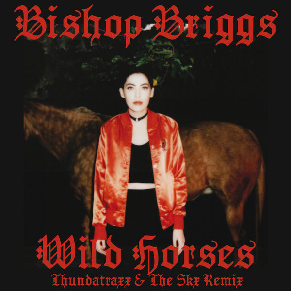 Bishop Briggs|Wild Horses (Thundatraxx & The SKX Remix) Bishop Briggs|Wild Horses (Thundatraxx & The SKX Remix)