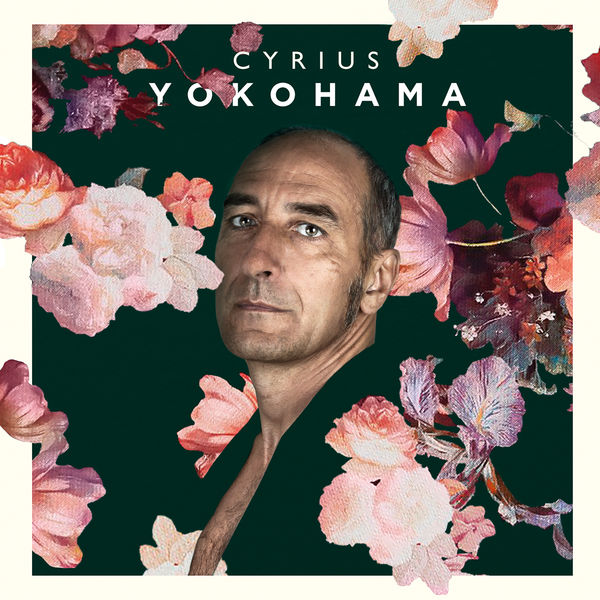 Cyrius|Yokohama