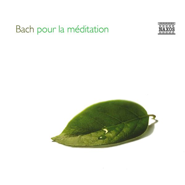 Enno Voorhorst - Bach pour la méditation Enno Voorhorst - Bach pour la méditation