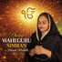 Harsh Wadala Divine Waheguru Simran