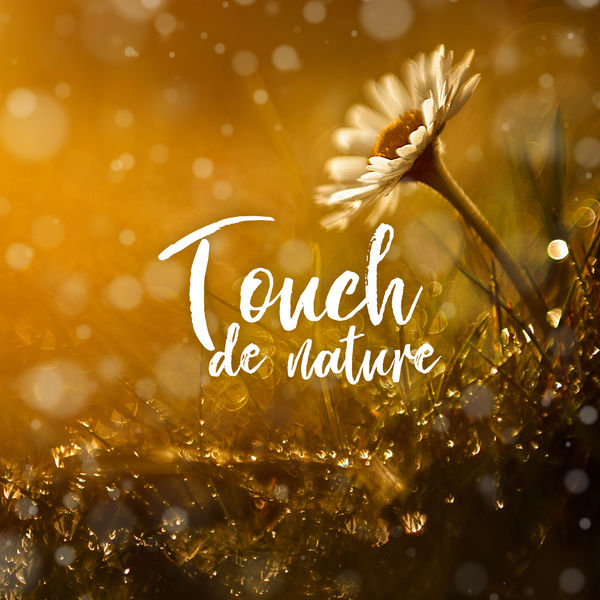 Spa Musique Collection|Touch de nature - Zen musique et sons de nature relaxants, Tranquillité SPA & Massage