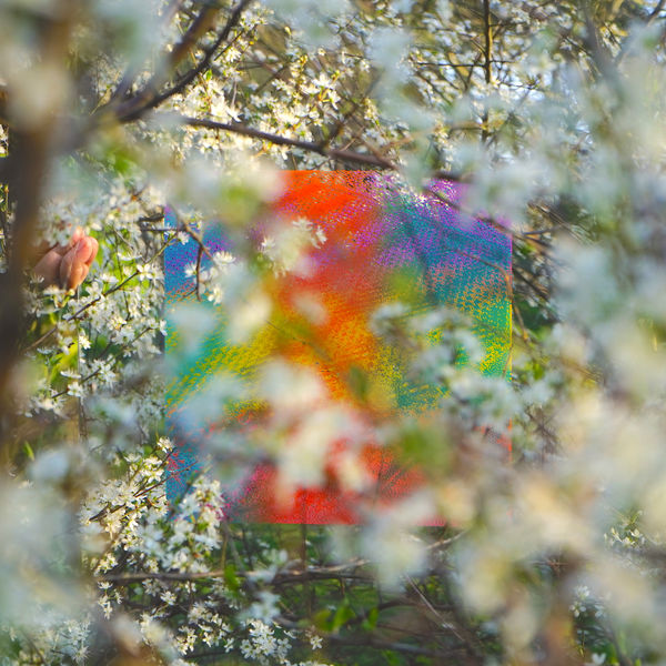 Four Tet - Teenage Birdsong Four Tet - Teenage Birdsong