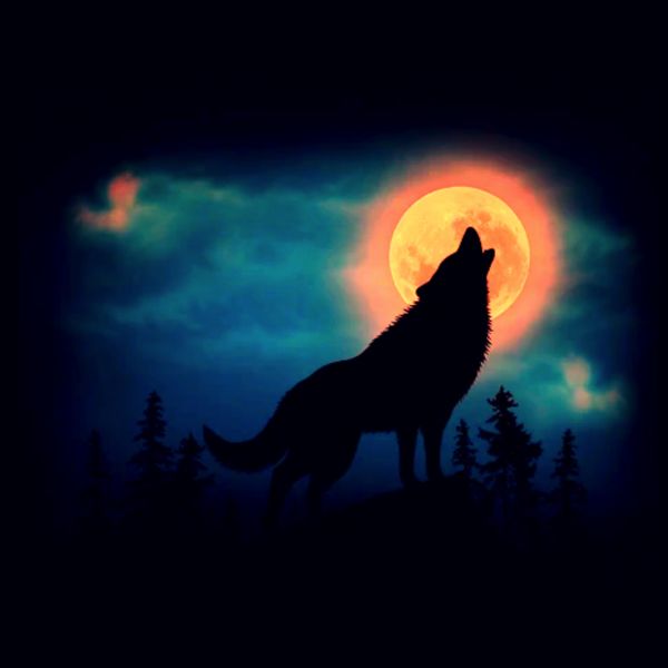 Jay Brad - V Lone Wolf Jay Brad - V Lone Wolf