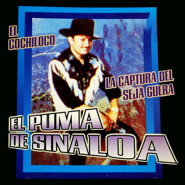 el puma de sinaloa