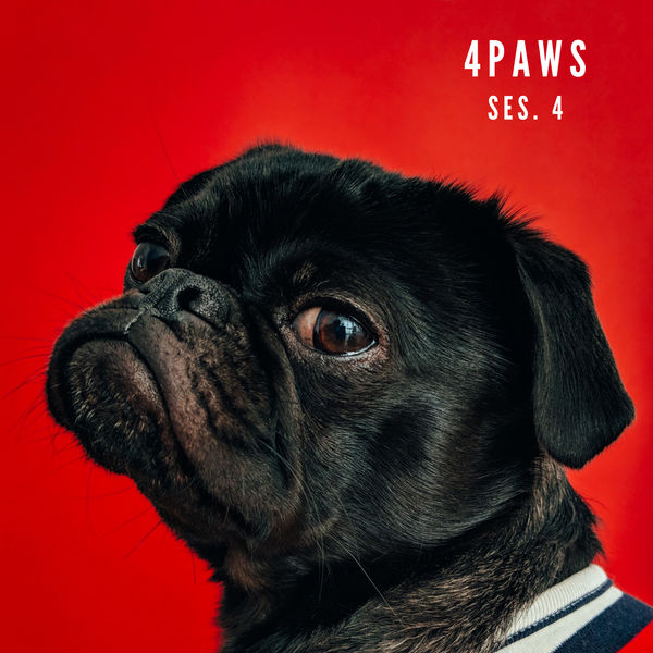 Dog Music - 4 Paws, Sleeping Music for Dogs and Cats Session 4 Dog Music - 4 Paws, Sleeping Music for Dogs and Cats Session 4