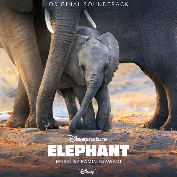 Ramin Djawadi|Elephant (Original Soundtrack)