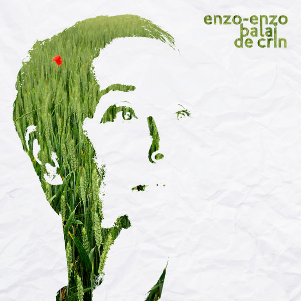 Enzo Enzo - Balai de crin Enzo Enzo - Balai de crin