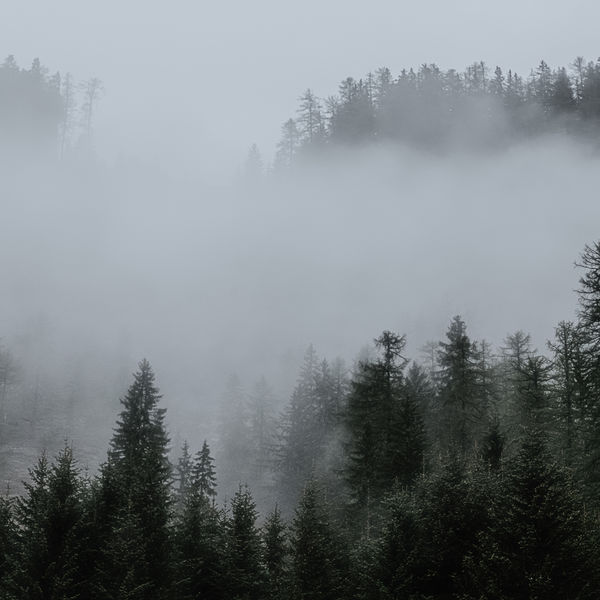 Nature Sounds - Relaxation Tracks for Sleep and Deep Sleep Nature Sounds - Relaxation Tracks for Sleep and Deep Sleep