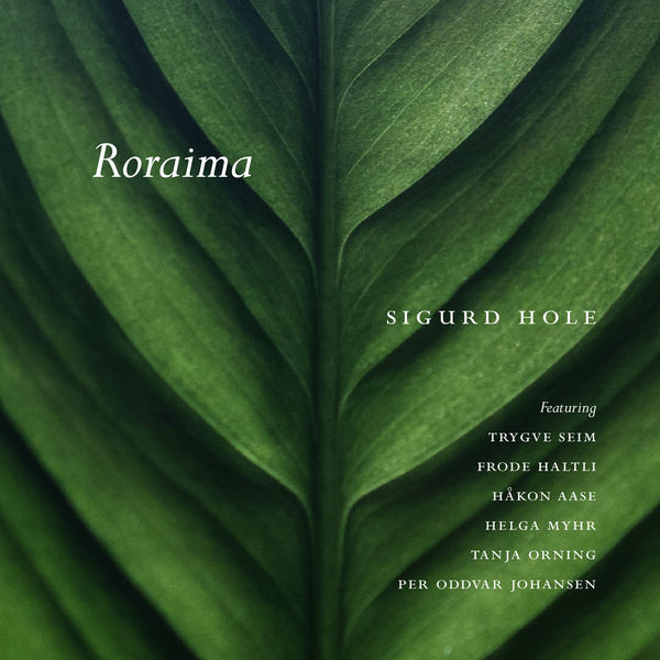 Sigurd Hole|Roraima