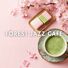 FOREST JAZZ CAFE Spring Cafe Soft Piano Music