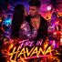 Froz Fire in Havana (feat. Fina)