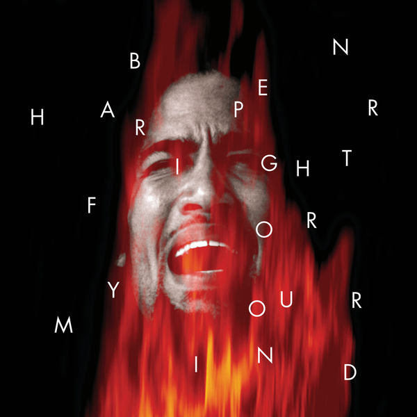 Ben Harper|Fight For Your Mind