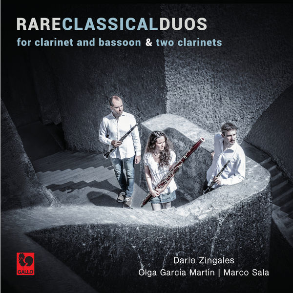 Dario Zingales|Franz Wilhelm Tausch - Franz Anton Hoffmeister - François René Gebauer: Rare Classical Duos