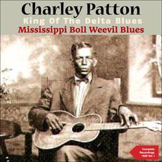 Mississippi Boll Weevil Blues