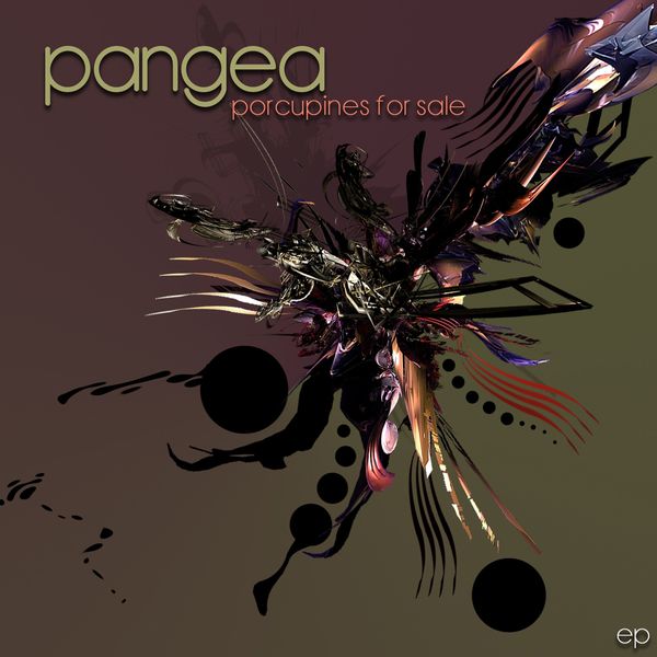 Pangea|Porcupines for Sale