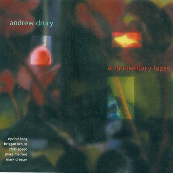 Andrew Drury|DRURY, Andrew: Momentary Lapse  (Andrew Drury)