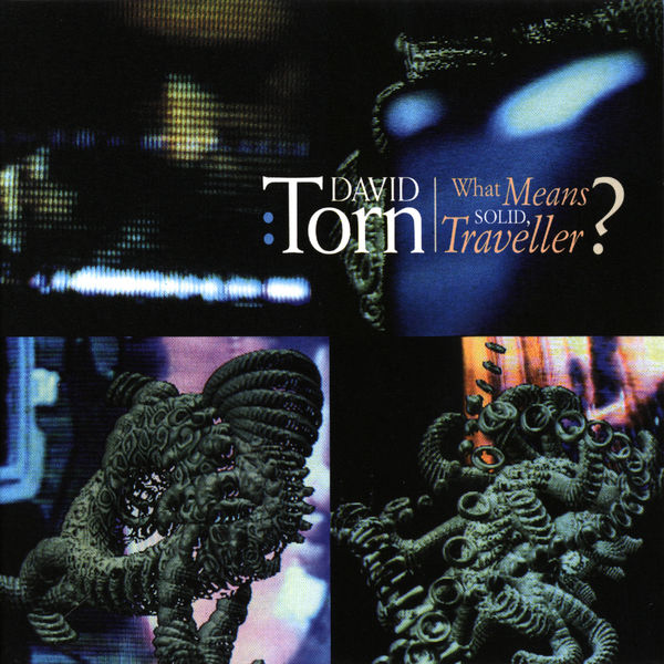 David Torn - What Means Solid, Traveller? David Torn - What Means Solid, Traveller?