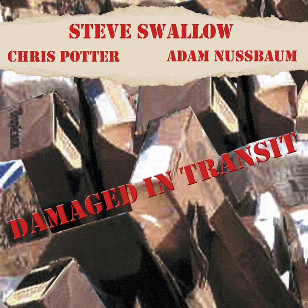 Steve Swallow - Damaged In Transit Steve Swallow - Damaged In Transit