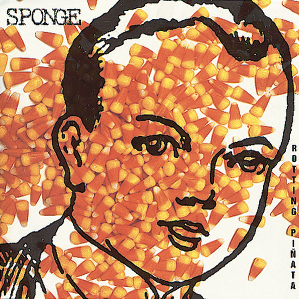 Sponge - Rotting Pinata Sponge - Rotting Pinata