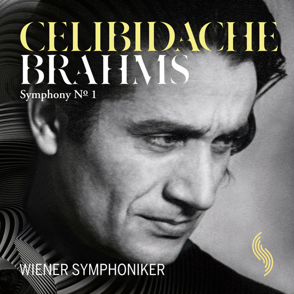 Wiener Symphoniker - Brahms: Symphony No. 1 Wiener Symphoniker - Brahms: Symphony No. 1