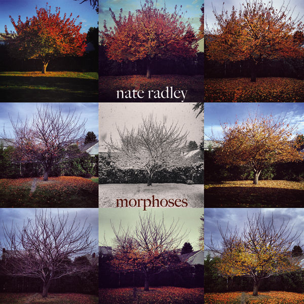 Loren Stillman - Morphoses Loren Stillman - Morphoses