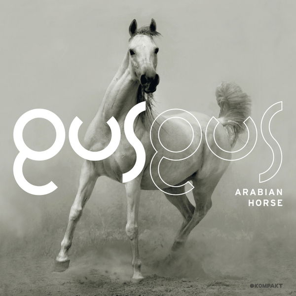 Gusgus|Arabian Horse