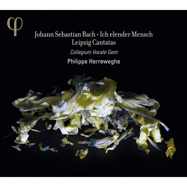 Philippe Herreweghe - Johann Sebastian Bach : Ich elender Mensch & Leipzig Cantatas (BWV 44, 48, 73, 109) Philippe Herreweghe - Johann Sebastian Bach : Ich elender Mensch & Leipzig Cantatas (BWV 44, 48, 73, 109)