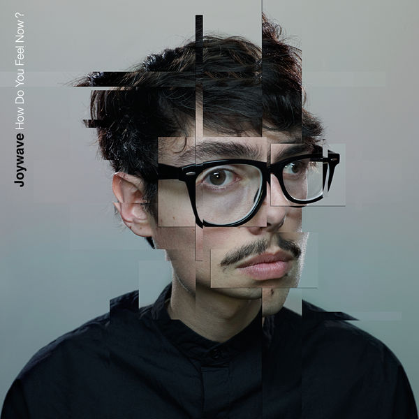 Joywave - How Do You Feel Now? Joywave - How Do You Feel Now?