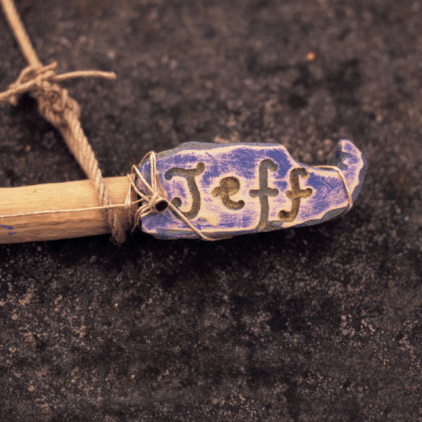 Jeff Beck|Jeff Jeff Beck|Jeff